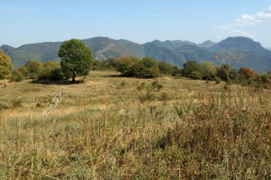 Glozhene Manastırı, Stara Planina Dağı (koca Balkan Dağları), Lofça bölge, Bulgaristan yakınındaki muhteşem manzara