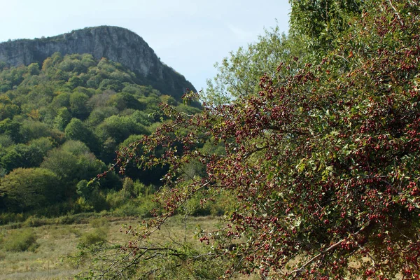 Paesaggio Incredibile Vicino Monastero Glozhene Montagna Stara Planina Monti Balcani — Foto Stock
