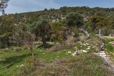 İnanılmaz arkeolojik Aliki, Thassos Adası, Doğu Makedonya ve Trakya, Yunanistan harabelerde görünümünü