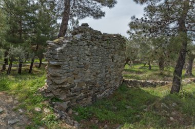 İnanılmaz arkeolojik Aliki, Thassos Adası, Doğu Makedonya ve Trakya, Yunanistan harabelerde görünümünü