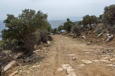 Zeytin ağaçları ile Giola doğal havuzu Thassos Island, yakın Doğu Makedonya ve Trakya, Yunanistan manzara 