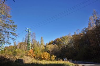 Sarı ağaçlarıyla, Vitosha Mountain, Sofya şehir bölgesi sonbahar manzara