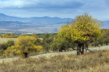 Sonbahar Panoramic view Cherna Gora dağın, Pernik bölge, Bulgaristan