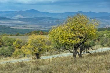 Sonbahar Panoramic view Cherna Gora dağın, Pernik bölge, Bulgaristan