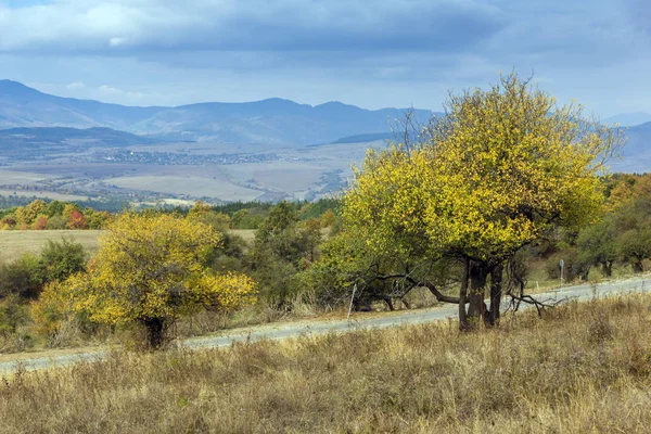 Herfst Panoramisch Uitzicht Van Cherna Gora Berg Regio Pernik Bulgarije — Stockfoto