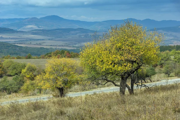 Herbst Panoramablick Auf Tscherna Gora Pernik Region Bulgarien — Stockfoto