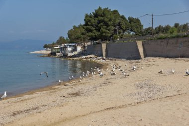 Bir, azing görünüm Skala Sotiros, Thassos Adası, Doğu Makedonya ve Trakya, Yunanistan  