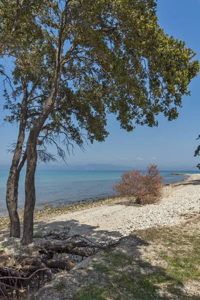Spiaggia Ormos Prinou Isola Taso Macedonia Orientale Tracia Grecia — Foto Stock