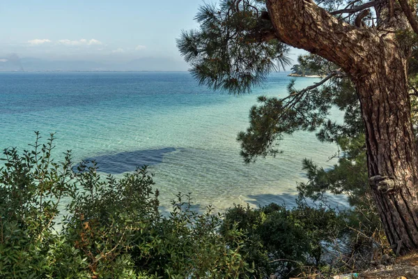 Playa Con Aguas Azules Isla Tasos Macedonia Oriental Tracia Grecia — Foto de Stock