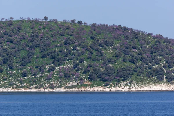 Panorama Dell Isola Thasopoula Macedonia Orientale Tracia Grecia — Foto Stock