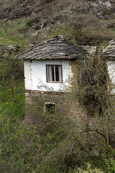 세기와 코소보의 불가리아 — 스톡 사진