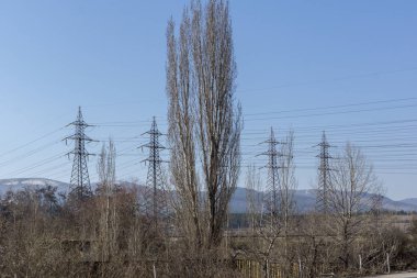 Pernik, Bulgaristan - 12 Mart 2014: Bitkiler Pernik şehri, Bulgaristan Sanayi Bölgesi'nde