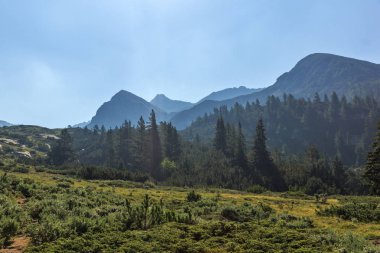 Peyzaj Begovitsa Nehri Vadisi, Pirin Dağı, Bulgaristan
