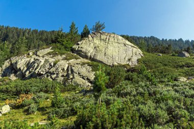 Peyzaj Begovitsa Nehri Vadisi, Pirin Dağı, Bulgaristan