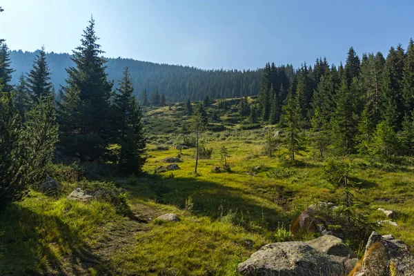 Paysage Vallée Rivière Begovitsa Pirin Mountain Bulgarie — Photo