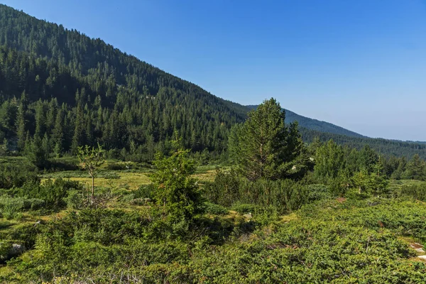 Paysage Vallée Rivière Begovitsa Pirin Mountain Bulgarie — Photo
