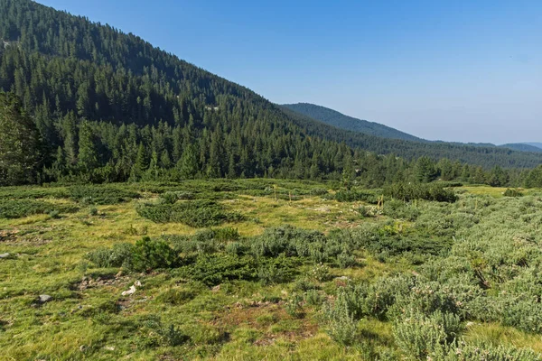 Paisaje Del Valle Del Río Begovitsa Montaña Pirin Bulgaria — Foto de Stock