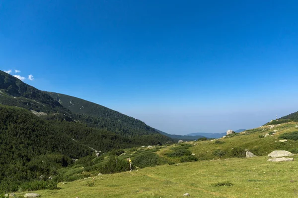 Пейзаж Долины Реки Беговица Гора Пирин Болгария — стоковое фото