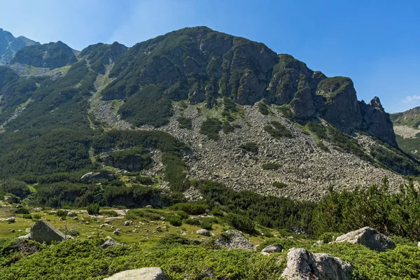 Táj Begovitsa Folyó Völgyében Pirin Hegység Bulgária — Stock Fotó