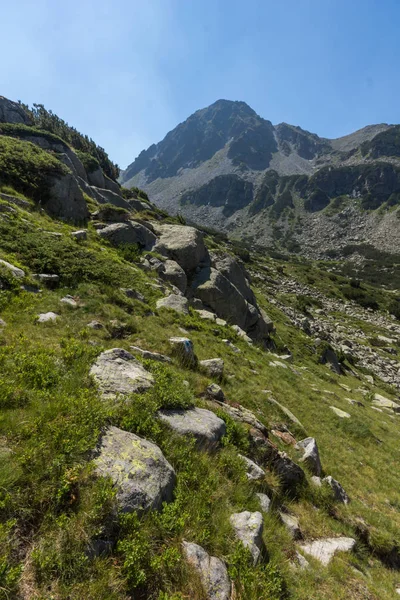 Пейзаж Долины Реки Беговица Пик Зуба Гора Пирин Болгария — стоковое фото
