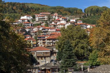 Metsovo, Epirus, Yunanistan - 19 Ekim 2013: Sonbahar görünümünü Metsovo Köyü yakınındaki Yanya şehir, Epirus bölgesi, Yunanistan