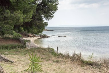 Chalkidiki, Orta Makedonya, Yunanistan - 25 Ağustos 2014: Deniz manzarası Mikri Elia beach adlı Sithonia Yarımadası, Chalkidiki, Orta Makedonya, Yunanistan