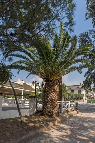 Chalkidiki Střední Makedonie Řecko Srpna 2014 Panoramatický Pohled Metamorfosi Pláže — Stock fotografie