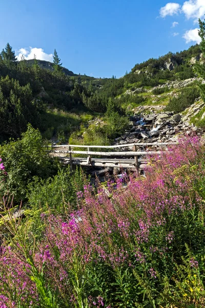 Amazing Landscape with mountain river, Pirin Mountain, Bulgaria