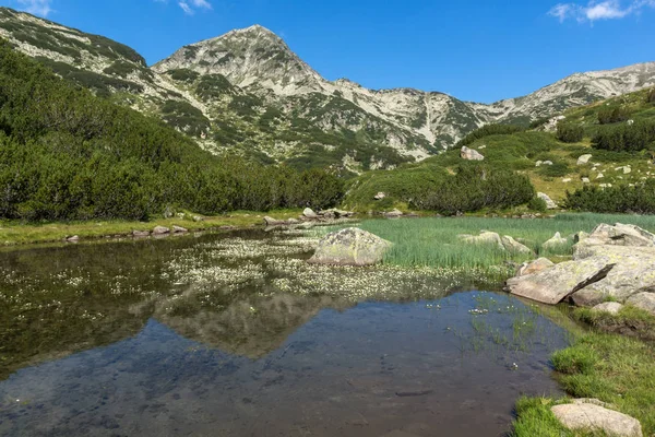 Increíble Paisaje Con Río Montaña Los Picos Hvoynati Montaña Pirin — Foto de Stock