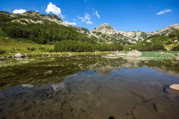 Amazing Landscape Dengan Gunung River Dan Hvoynati Peaks Pirin Mountain — Stok Foto