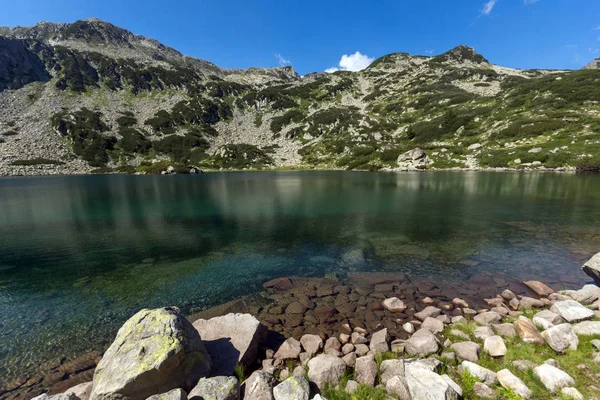 Paisagem Incrível Com Peixes Banderitsa Lake Pirin Mountain Bulgária — Fotografia de Stock