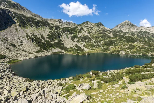 Increíble Paisaje Con Peces Banderitsa Lake Pirin Mountain Bulgaria —  Fotos de Stock