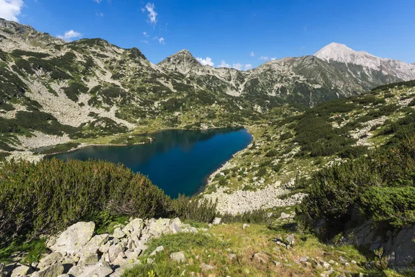 Amazing Landscape Fish Banderitsa Lake Vihren Peak Pirin Mountain Bulgaria — Stok Foto