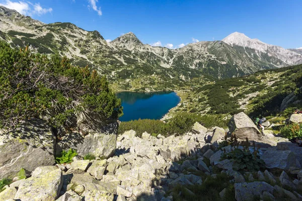 Amazing Landscape Fish Banderitsa Lake Vihren Peak Pirin Mountain Bulgaria — Stok Foto