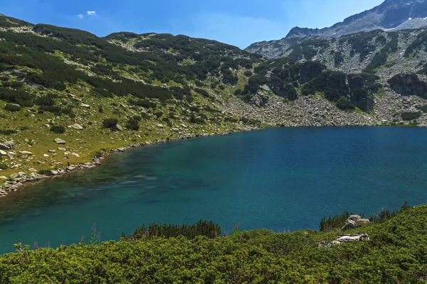 Amazing Landscape Dengan Ikan Banderitsa Danau Pirin Gunung Bulgaria — Stok Foto