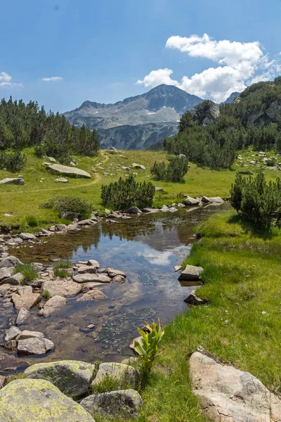 Fantastiska Landskap Med Banderishki Berghöna Peak Och Mountain River Berget — Stockfoto