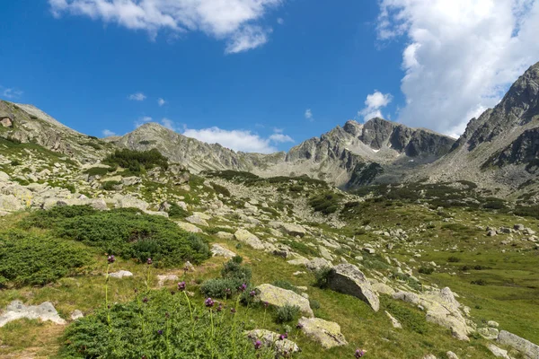 Úžasná Krajina Yalovarnika Peak Pohoří Pirin Bulharsko — Stock fotografie