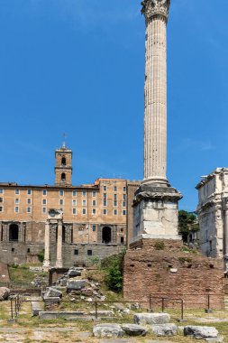 Rome, İtalya - 24 Haziran 2017: Sütun Phokas şehir Roma, İtalya'nın Roma Forumu