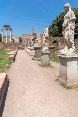 Rome, İtalya - 24 Haziran 2017: Vesta Tapınağı Roma, İtalya Roma Forumu görünümünü şaşırtıcı