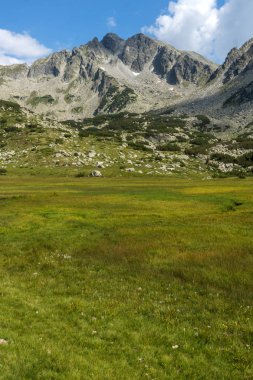 Muhteşem manzara Yalovarnika tepeler ve Begovitsa Nehri Vadisi, Pirin Dağı, Bulgaristan