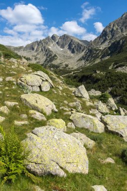 Muhteşem manzara Yalovarnika tepeler ve Begovitsa Nehri Vadisi, Pirin Dağı, Bulgaristan