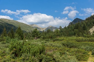 Begovitsa Nehri Vadisi, Pirin Dağı, Bulgaristan muhteşem manzara