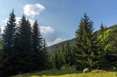 Begovitsa Nehri Vadisi, Pirin Dağı, Bulgaristan muhteşem manzara