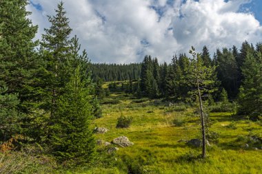 Begovitsa Nehri Vadisi, Pirin Dağı, Bulgaristan muhteşem manzara