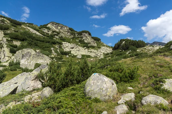 Niesamowity Krajobraz Doliny Rzeki Begovitsa Góry Pirin Bułgaria — Zdjęcie stockowe