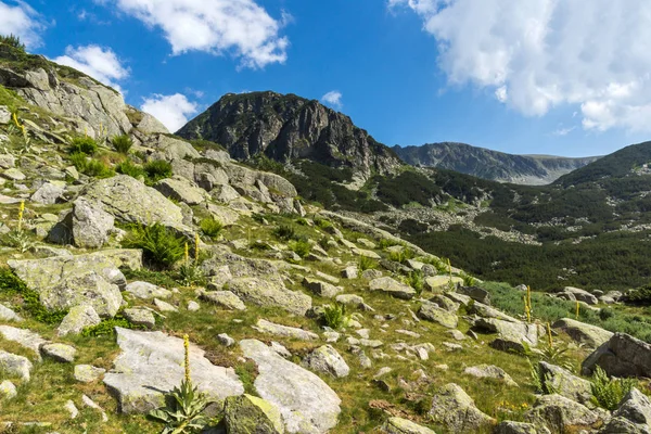 Begovitsa 川渓谷 ブルガリアのピリン山の素晴らしい風景 — ストック写真