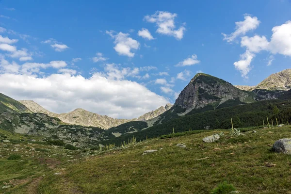 Atemberaubende Landschaft Von Begovitsa Flusstal Pirin Berg Bulgarien — Stockfoto