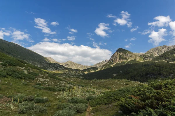 Amazing Landscape Begovitsa River Valley Pirin Mountain Bulgaria — Stock Photo, Image