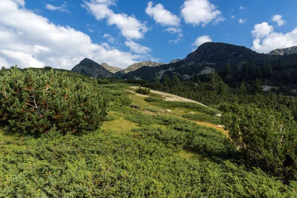 Atemberaubende Landschaft Von Begovitsa Flusstal Pirin Berg Bulgarien — Stockfoto