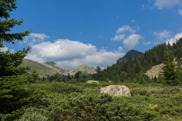 Niesamowity Krajobraz Doliny Rzeki Begovitsa Góry Pirin Bułgaria — Zdjęcie stockowe